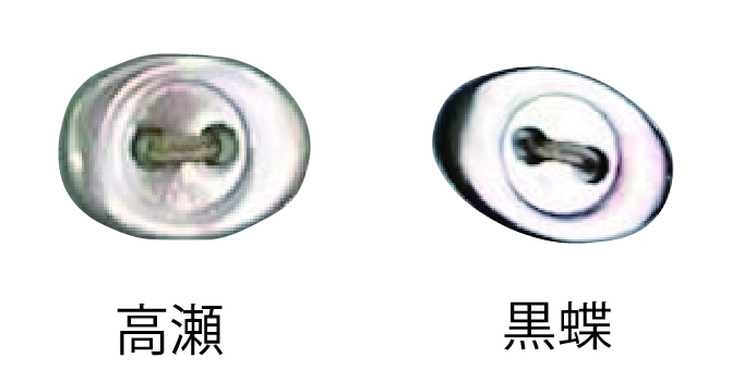 3400 Two-hole Oval Shell Button Tomoi