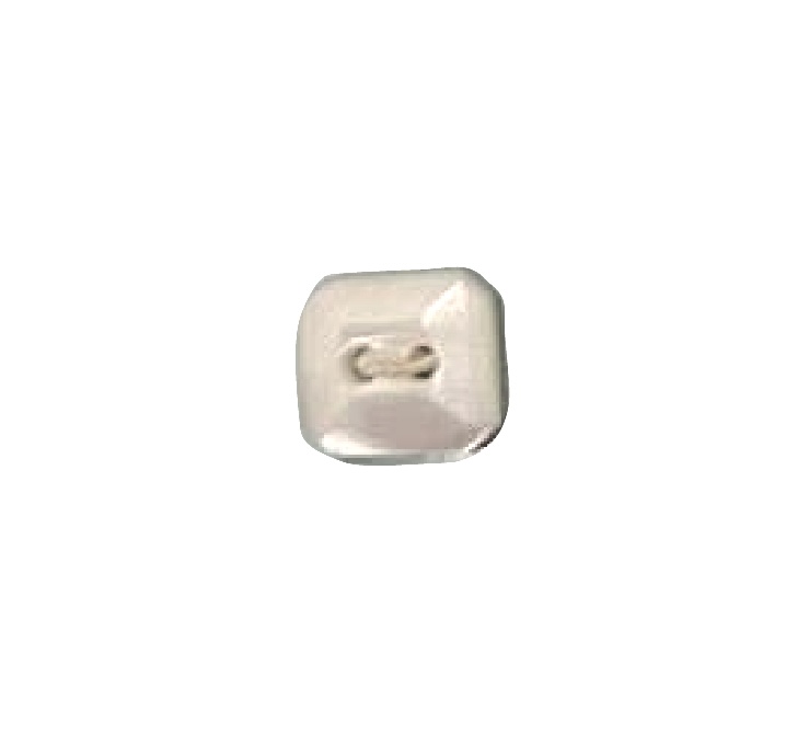 496 2-hole Square Shell Button Tomoi