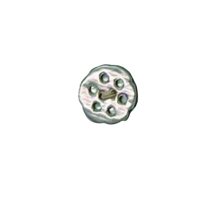 506 8-hole Shell Button Tomoi