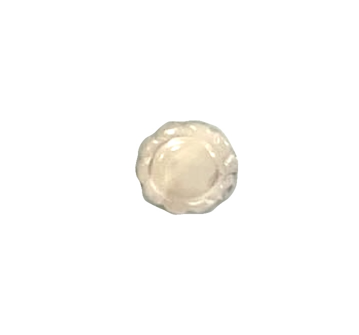 610 Round, Edged Shell Button Tomoi