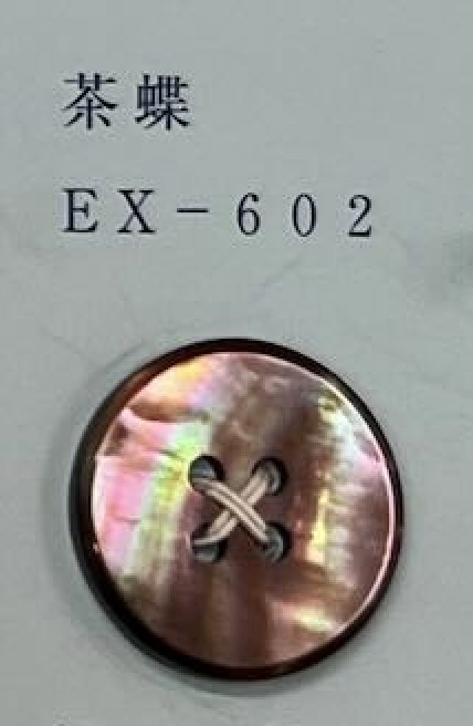 EX602 4 Holes, Shell Button Tomoi