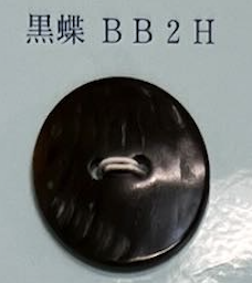 BB2H 2 Holes, Borderless, Shell Button Tomoi