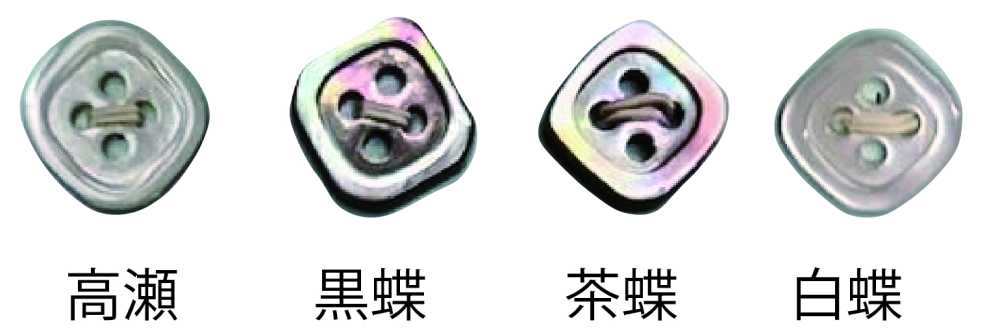 4004H 4-hole Shell Shell Button With Rim Tomoi