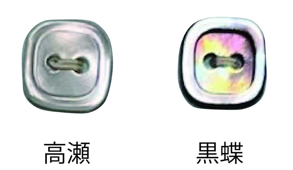 4002H 4-hole Shell Shell Button With Rim Tomoi