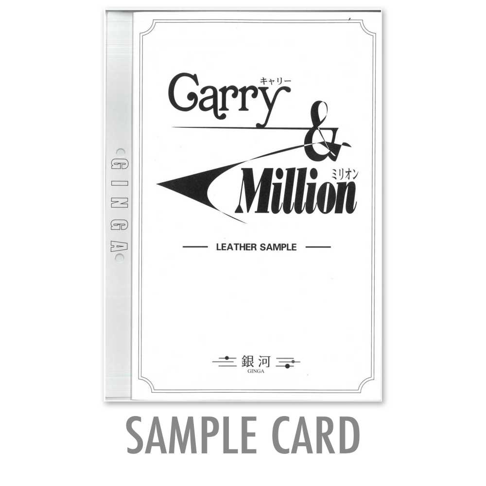 GINGA-SAMPLE2 GINGA Sample Card [Carry & Million]