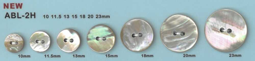 ABL2H 2- Shell Abalone Shell Button DAIYA BUTTON