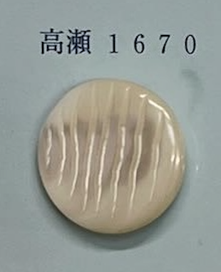 1670 Borderless Shell Button Tomoi