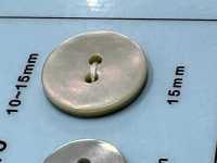 A110 2-hole Shell Button DAIYA BUTTON Sub Photo