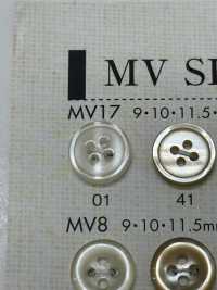 MV17 DAIYA BUTTONS Shell-like Polyester Button DAIYA BUTTON Sub Photo