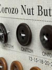 ONT02H Natural Material Corozo Nut 4-hole Button DAIYA BUTTON Sub Photo