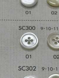 SC300 DAIYA BUTTONS Shell-like Polyester Button DAIYA BUTTON Sub Photo