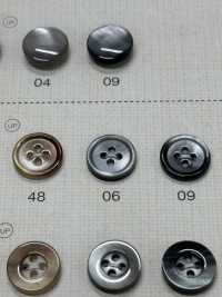 SC300 DAIYA BUTTONS Shell-like Polyester Button DAIYA BUTTON Sub Photo