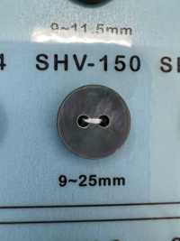 SHV150 2-hole Shell Button DAIYA BUTTON Sub Photo