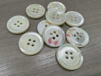 ST180 Shell Shell 4-hole Button IRIS Sub Photo