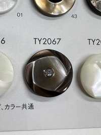 TY2067 Polyester Resin Buttons DAIYA BUTTON Sub Photo