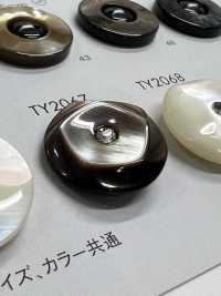 TY2067 Polyester Resin Buttons DAIYA BUTTON Sub Photo