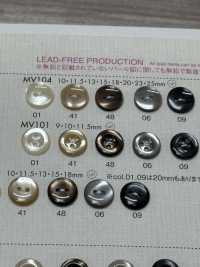 MV101 DAIYA BUTTONS Shell-like Polyester Button DAIYA BUTTON Sub Photo