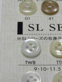 TW8 DAIYA BUTTONS Shell-like Polyester Button DAIYA BUTTON Sub Photo