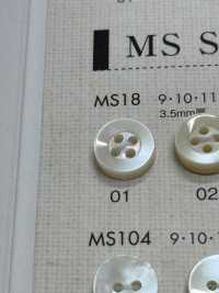 MS18 DAIYA BUTTONS Shell-like Polyester Button DAIYA BUTTON Sub Photo