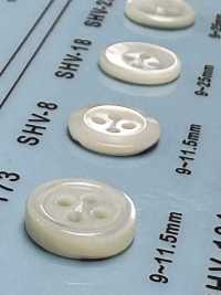 SHV8 4-hole, Bordered Shell Button DAIYA BUTTON Sub Photo