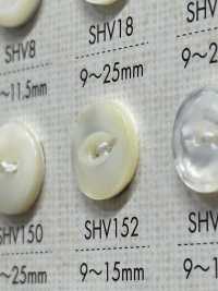 SHV152 2-hole Shell Button DAIYA BUTTON Sub Photo