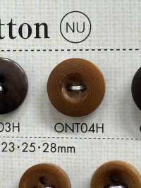 ONT04H 2 Hole Nut Button DAIYA BUTTON Sub Photo