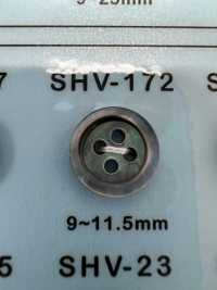 SHV172 4-hole, Bordered Shell Button DAIYA BUTTON Sub Photo