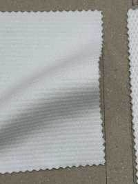 FJ200310 Primeflex® Back Mesh[Textile / Fabric] Fujisaki Textile Sub Photo