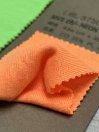 BL37500 MVS28/- NEON Circular Rib[Textile / Fabric] Vertex Sub Photo