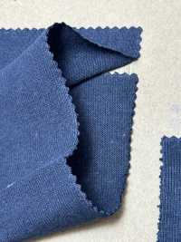 BL1415NT 14/-BD High Density Body Jersey[Textile / Fabric] Vertex Sub Photo