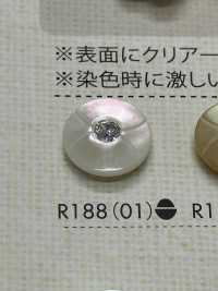 R188 Polyester Resin Buttons DAIYA BUTTON Sub Photo