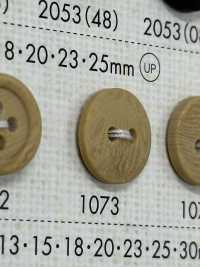 1073 Polyester Resin Bordered Two-hole Button Sub Photo