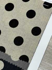 DOT-7100-3 Linen Loomstate Coin Dot[Textile / Fabric] HOKKOH Sub Photo