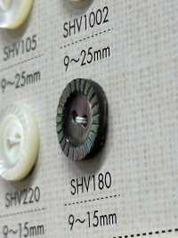 SHV180 2-hole Shell Button DAIYA BUTTON Sub Photo