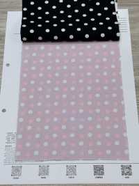 DOT-2000-2 200 Broadcloth[Textile / Fabric] HOKKOH Sub Photo