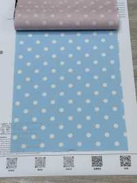 DOT-2000-2 200 Broadcloth[Textile / Fabric] HOKKOH Sub Photo