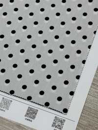 DOT-2000-2 200 Broadcloth[Textile / Fabric] HOKKOH Sub Photo