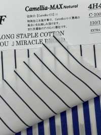 4H4436/3 EXTRA LONG STAPLE COTTON “FOR YOU” MIRACLE BROAD[Textile / Fabric] Kuwamura Fiber Sub Photo