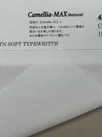 4H4416 COTTON SOFT TYPEWRITER[Textile / Fabric] Kuwamura Fiber Sub Photo