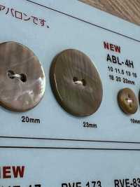 ABL2H 2- Shell Abalone Shell Button DAIYA BUTTON Sub Photo