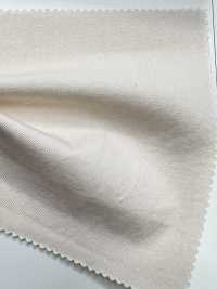 SPM-6020-KBW Supima 80/2// Gabardine[Textile / Fabric] TIPICO (Kuwamura Textile) Sub Photo