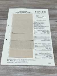 SPM-6020-KBW Supima 80/2// Gabardine[Textile / Fabric] TIPICO (Kuwamura Textile) Sub Photo