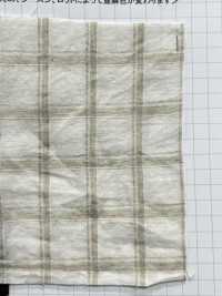 AZUMADAKI-120 Organic Cotton Dobby Check Eastern Cooking Process[Textile / Fabric] Komatsuwa Textile Sub Photo