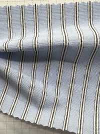 SBW3024 Organic Striped Selvedge[Textile / Fabric] SHIBAYA Sub Photo