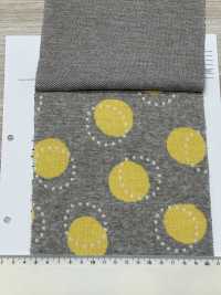 8025-1865-1 Knit 3-color Jacquard Dot[Textile / Fabric] HOKKOH Sub Photo