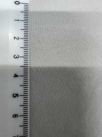 41336 Maruude Cotton Whipped Lawn[Textile / Fabric] SUNWELL Sub Photo