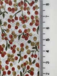 7025-1610-1 60 Lawn Fruit Pattern[Textile / Fabric] HOKKOH Sub Photo