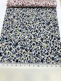 7025-1610-1 60 Lawn Fruit Pattern[Textile / Fabric] HOKKOH Sub Photo