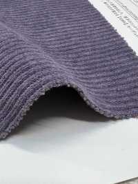 43903 Knitted Corduroy[Textile / Fabric] SUNWELL Sub Photo