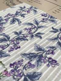 850505 SEVENBERRY® Lawn Soleil Berry Stripe[Textile / Fabric] VANCET Sub Photo